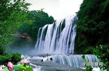 猫在日本古代的地位很高,为何日本人对猫这么喜欢?-权威知识星球平台